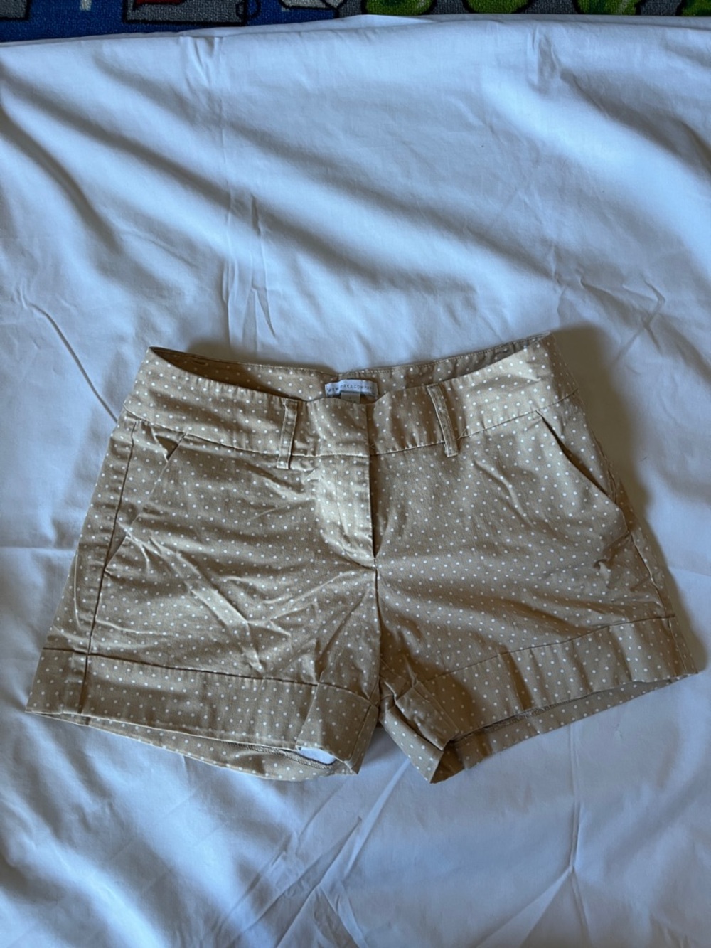 New York & Company Tan Polka-Dot Bermuda Shorts